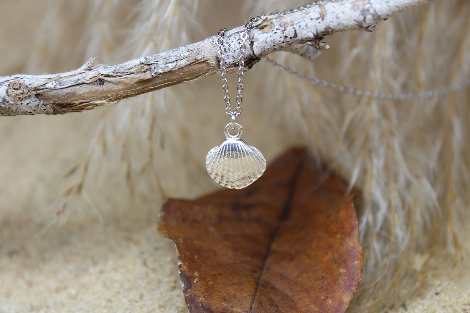 שרשרת צדף מכסף אמיתי 925