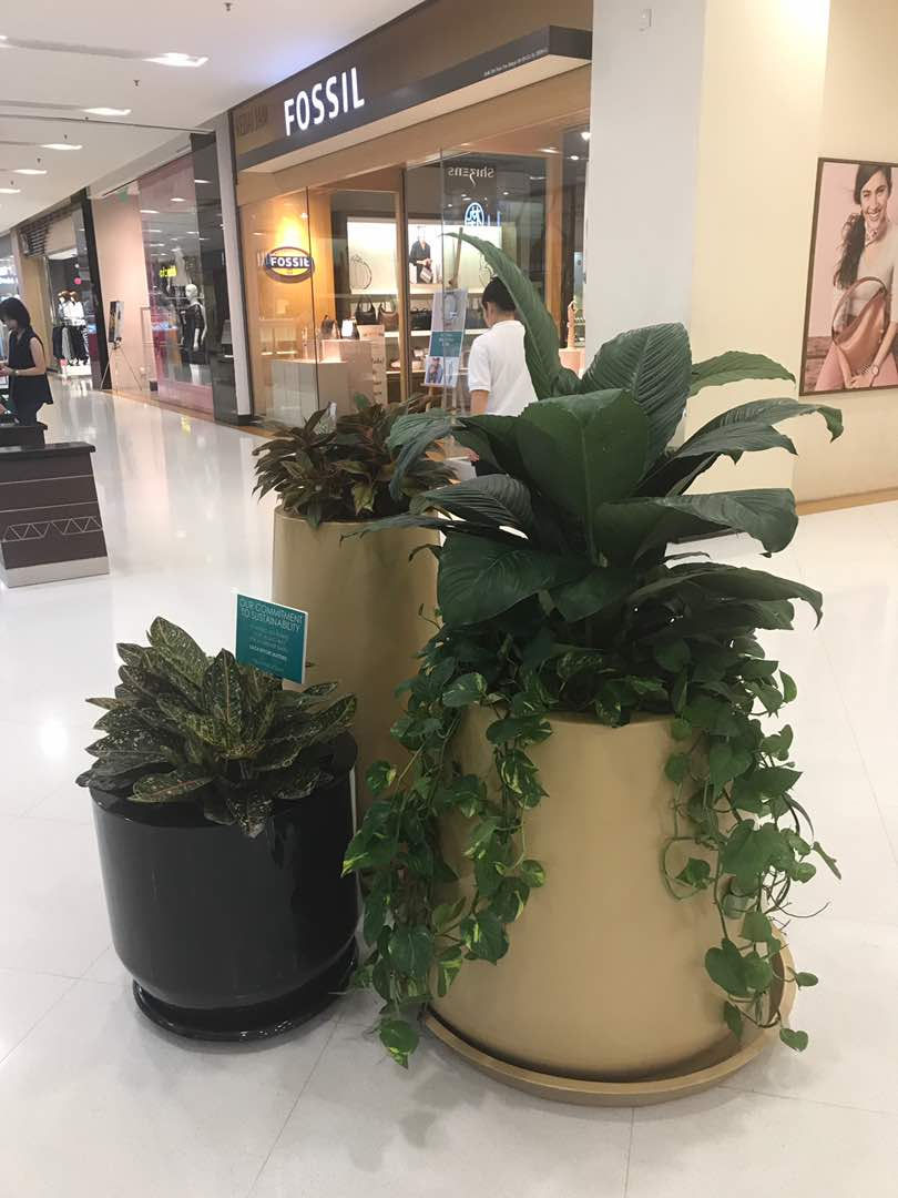 Sunway-Flower Pot-July4