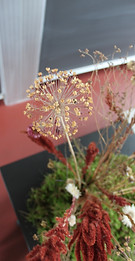IMG_5425.JPG