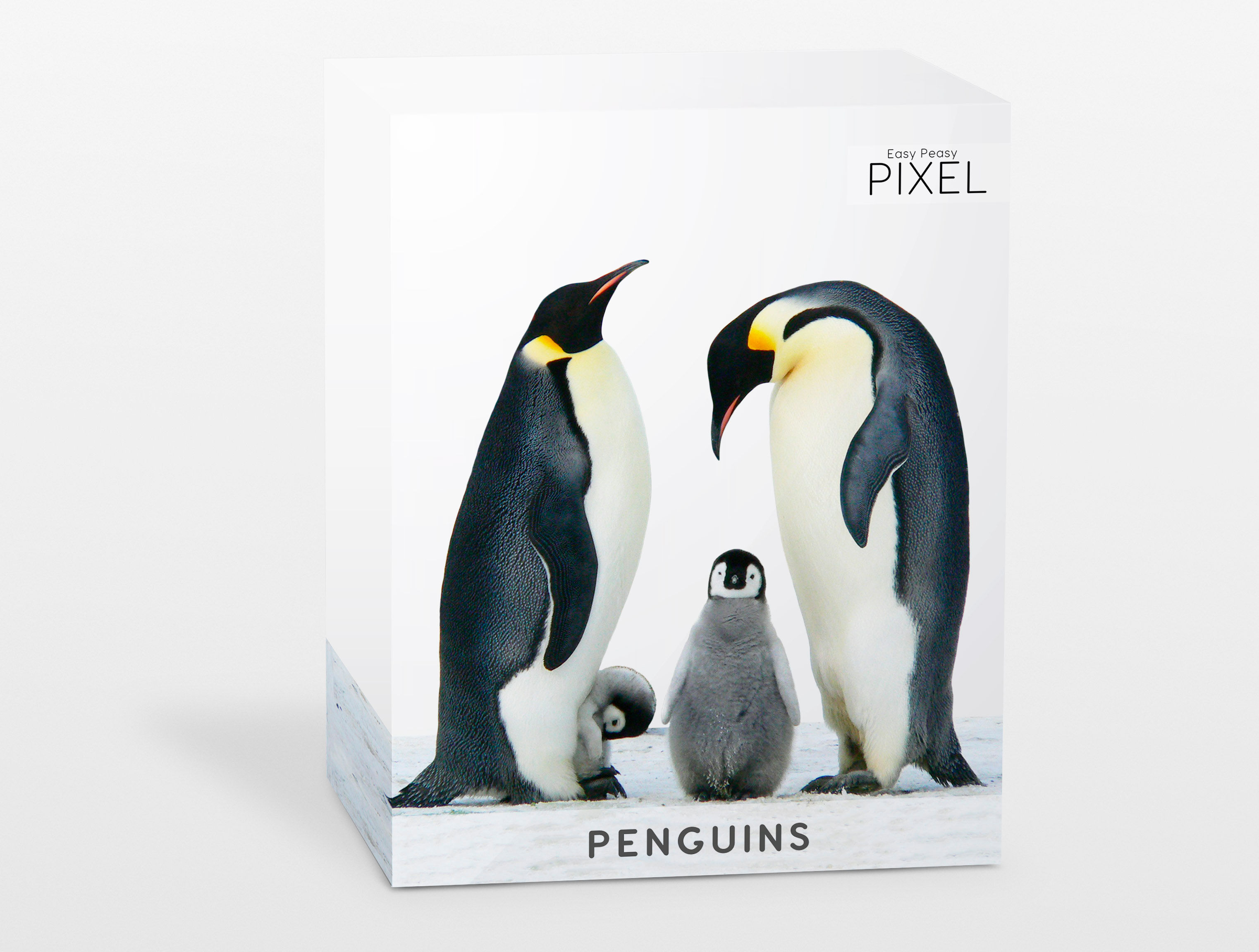 PENGUINS