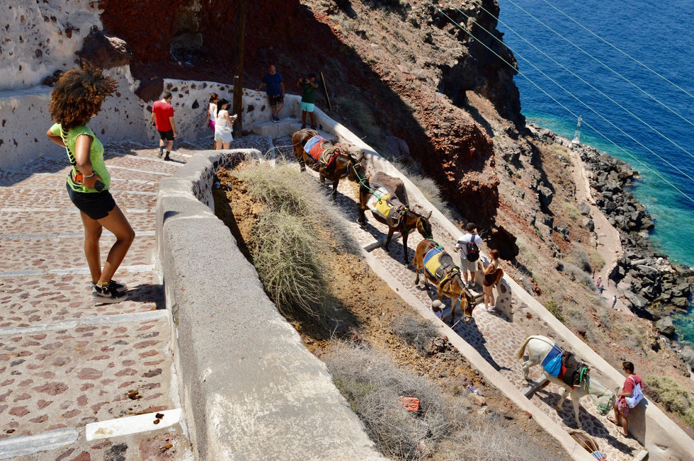 43B60189-F3F7-4B11-805E-0240944CD78E