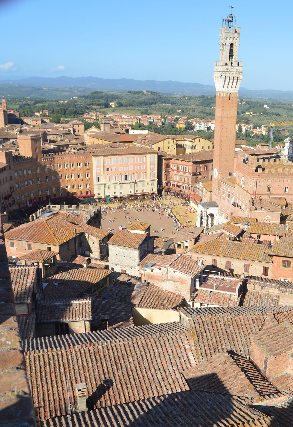 Siena from tower view