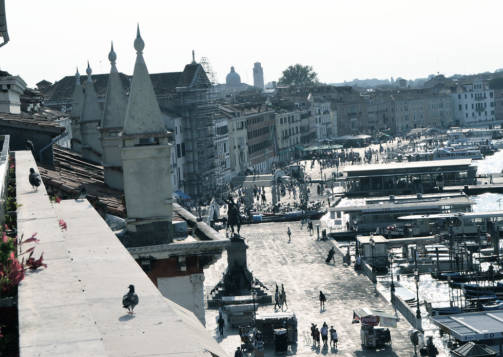 View from the rooftop, Hotel Danieli