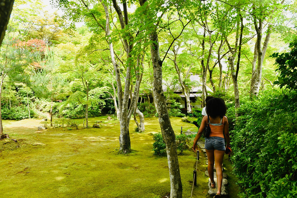 Japanese actors have nice gardens