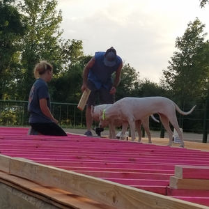 Construction Site Activity