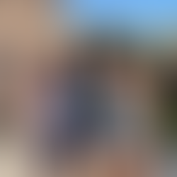 Brown Road Racing - Palm Beach Downs