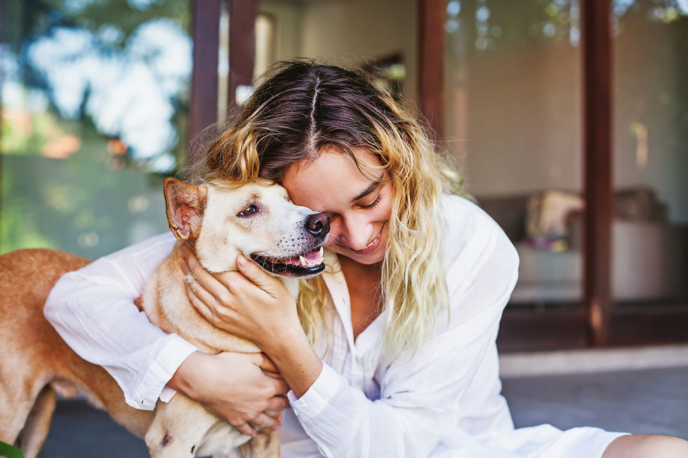 Mercado Pet brasileiro deve crescer 14% em 2022