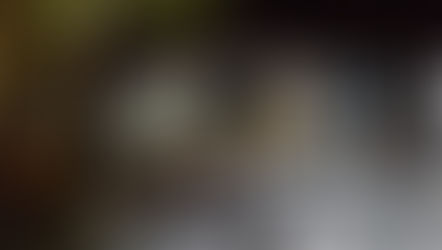 Terzo e ultimo giorno di riprese per The perfect pandemic criminal