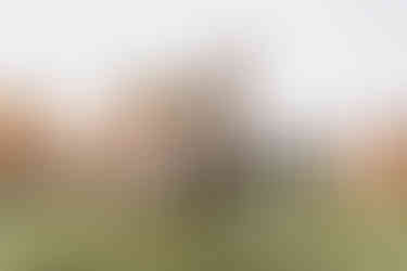 boho wedding in oxford