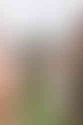 boho wedding in oxford