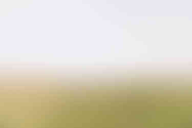 boho wedding in oxford