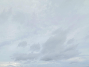 大寒: 抗癌的捷徑