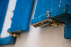 טיול צילום ביפו