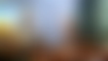 Up the River Without a Paddle: The Chicago River Tour