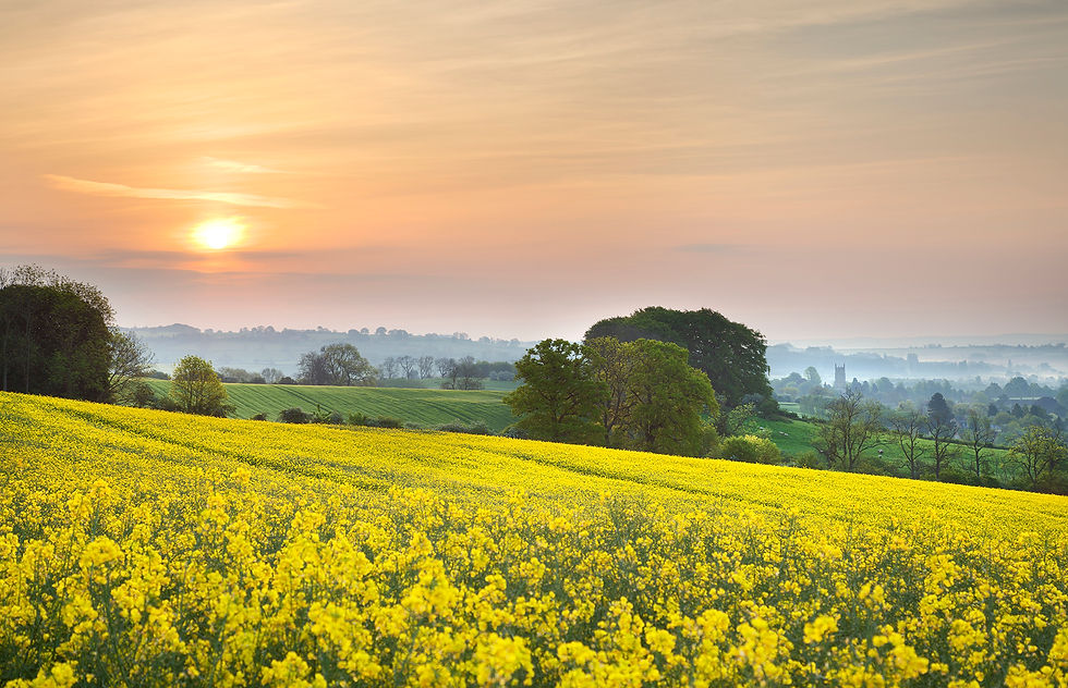 View towards Chipping Campden