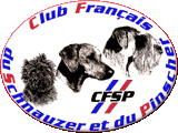 Logo cfsp 