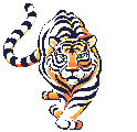 Tigre