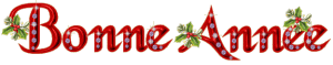 bonne-annee_019.gif