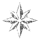 Etoile brillante