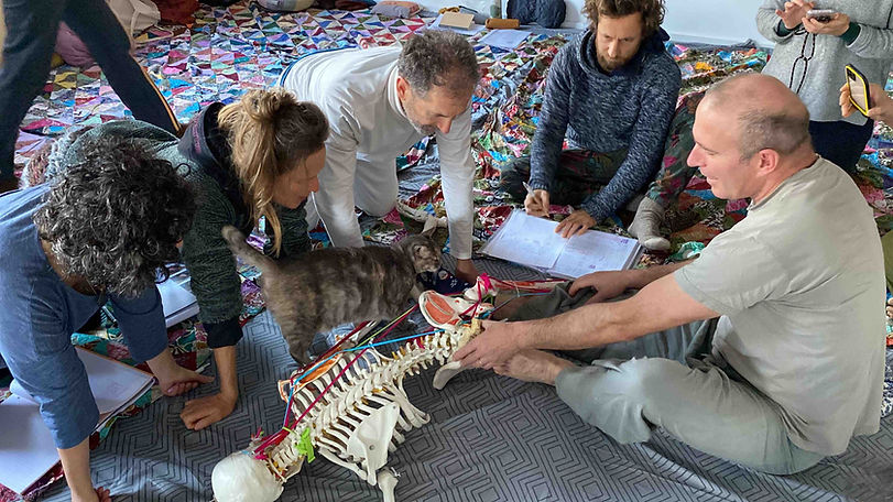 ウータイ オステオ ダンス Wuo Tai Japan.jpg.jpg