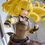 Thumbnail: RWBY: Ice Queendom Pop Up Parade PVC Statue Yang Xiao Long: Lucid Dream