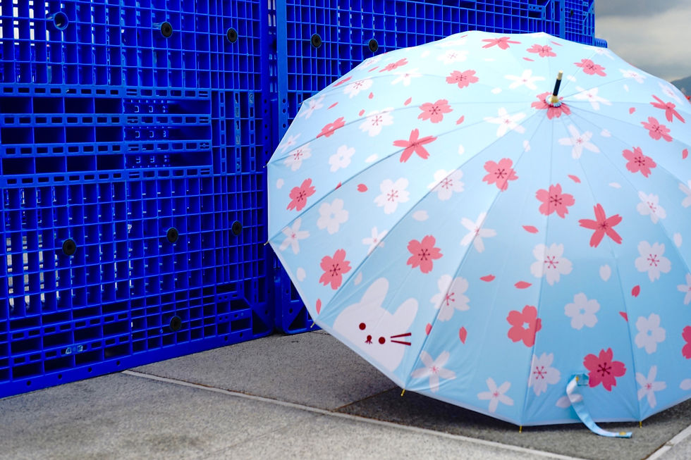 縮圖：16骨粉藍漫天櫻花長傘