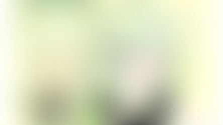 【TinyFox公式コラボ3Dモデル③】いつもぽーっとした雰囲気の子でもVRChatの世界でパリピになります!新生造物 小青呱(カエル)アクティブモード起動!