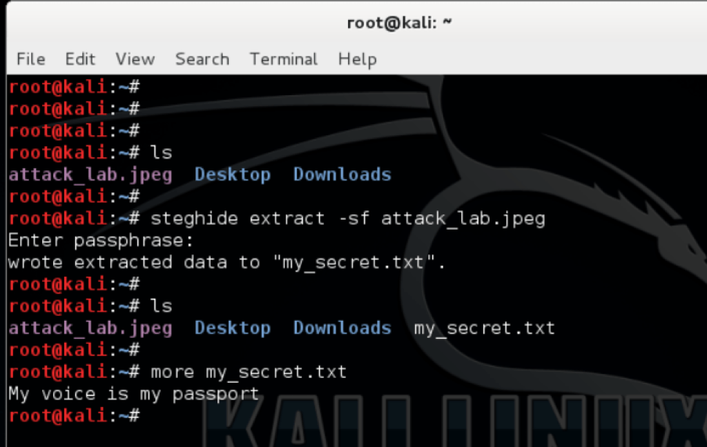 command to install exiftool in kali linux