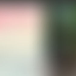 VIDA Lab at the International Seminar Series on Values Research!