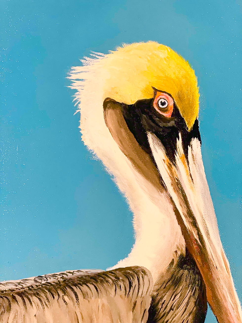 サムネイル： Brown Pelican, 20"x16" Acrylc