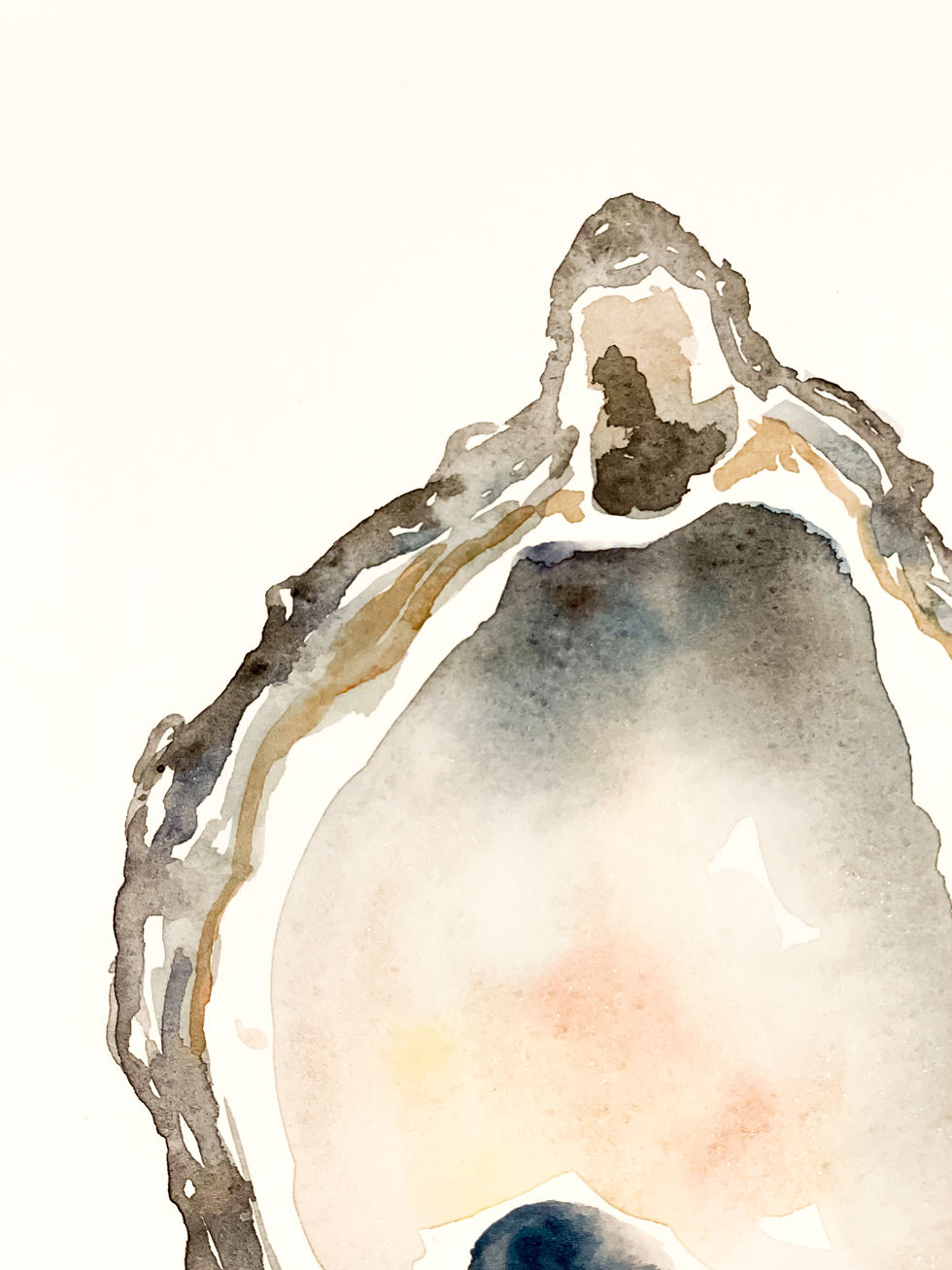 Thumbnail: Oyster - Various Sizes & Styles