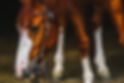 image0 (5).jpeg