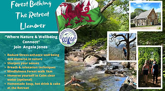 angela jones swim wild Forest Bsthing