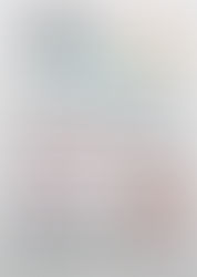 Circulação Seu Estrelo #5 Plano Piloto