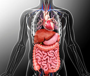 medicina interna