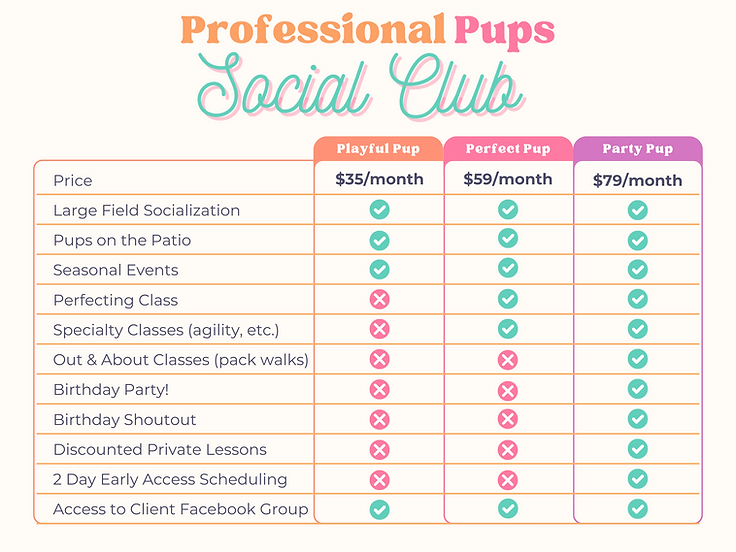 New Memberships.png