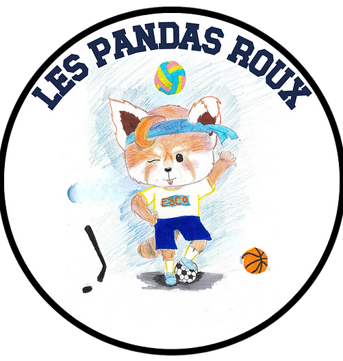 Pandas Roux.png