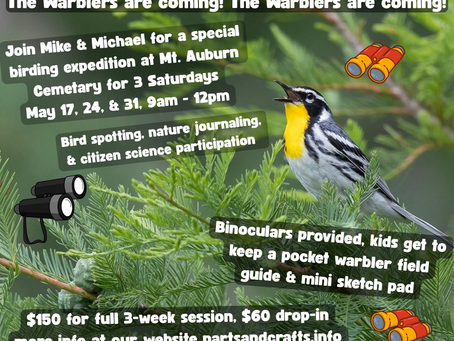 The Warblers are Coming!