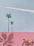 Minimalist painting of a bicycle with flowers, palm trees, and a pink wall by Felix Burgos.