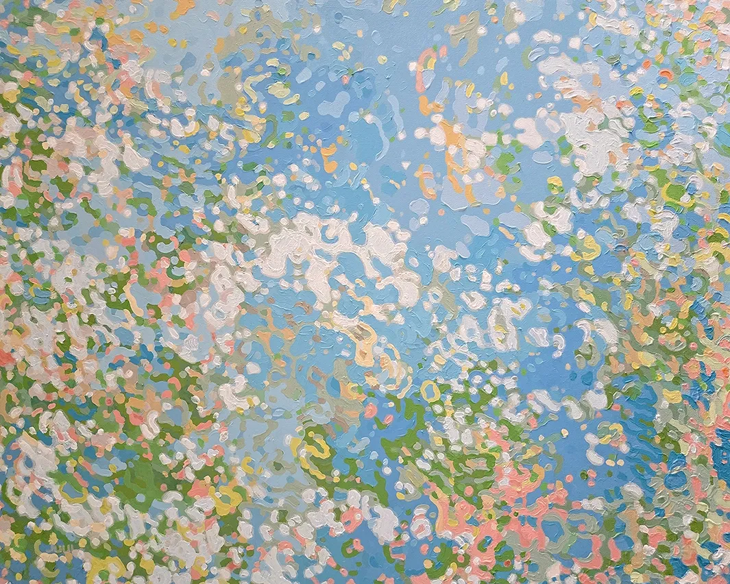 D-Gallerie