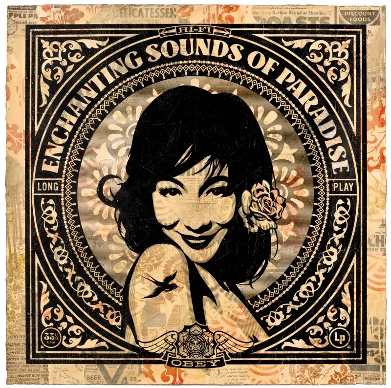 A hand-intervened collage by Shepard Fairey titled "Enchanting Sounds."