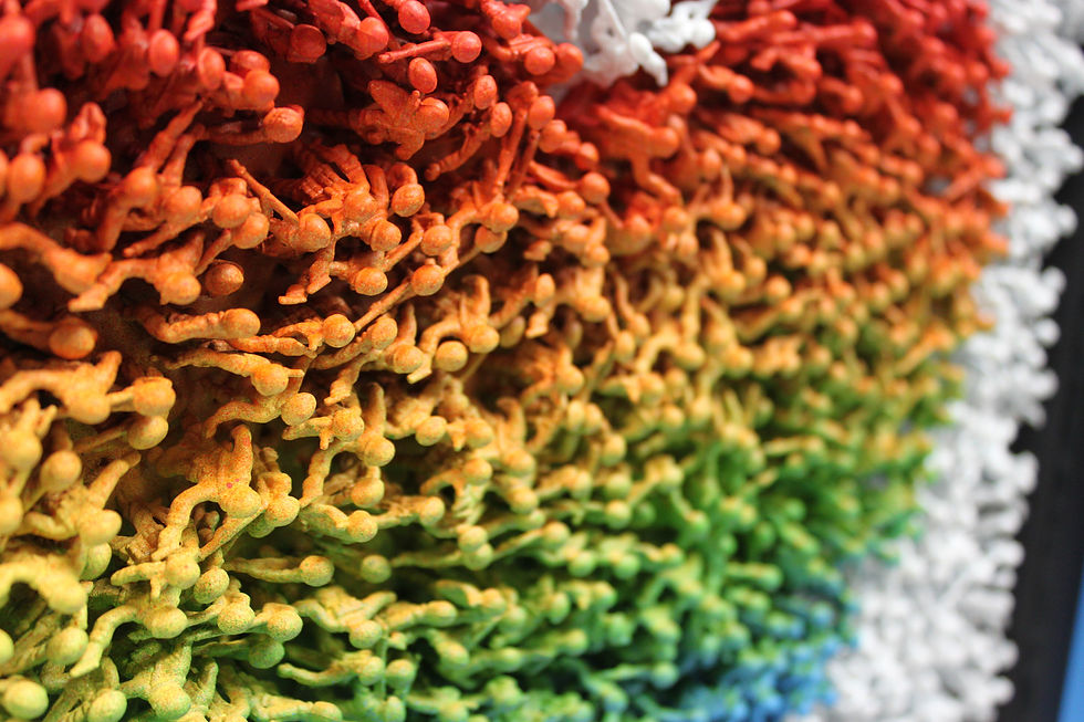 Miniatura: Orgullo de Abby Elizabeth