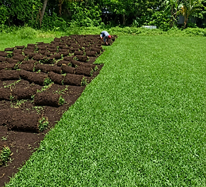 ChatGPT Image 25 abr 2026, 03_31_36 p.m..png