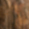 jude-infantini-mI-QcAP95Ok-unsplash.jpg