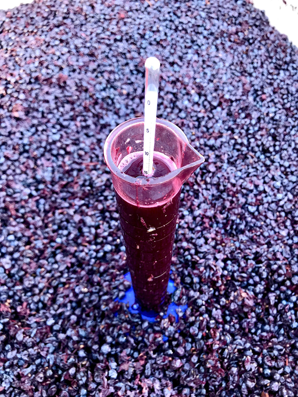 Hydrometer