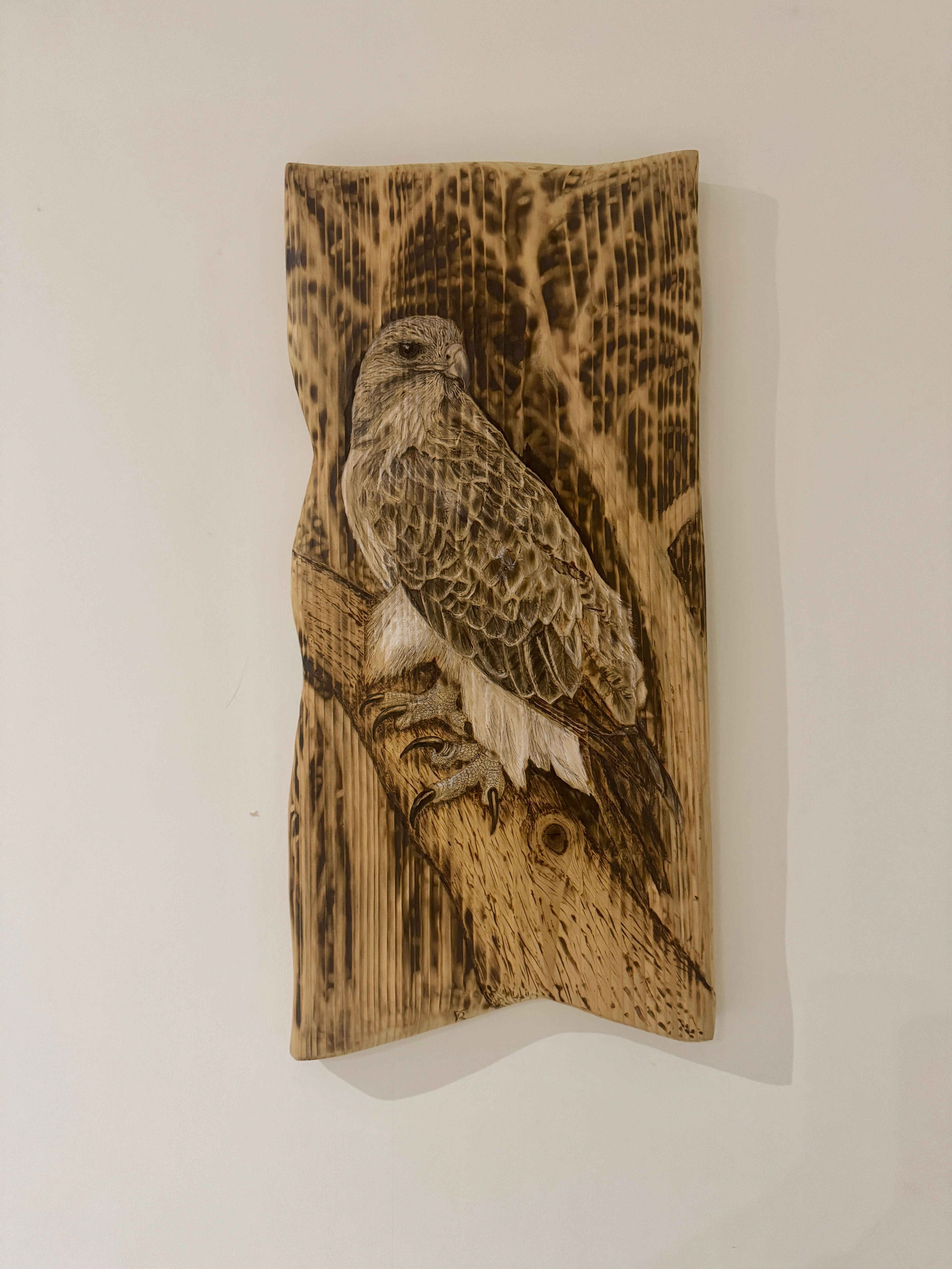 Silent Sentinel – South African Hawk Eagle