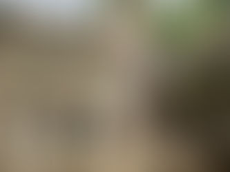 RTW Trip Day #39: Exploring the Angkor Temples and Ta Prohm's Tree-Entwined Ruins