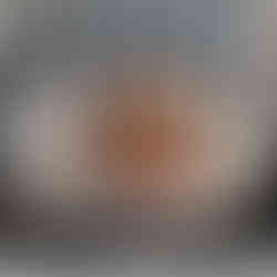 The campfire for smores