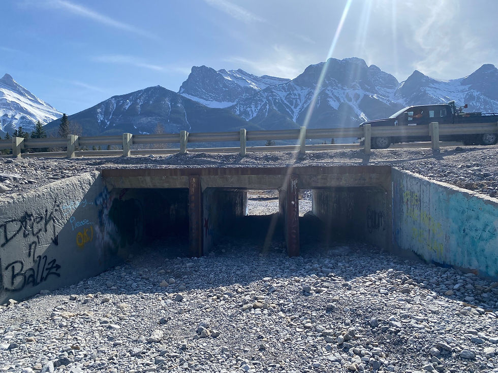 The underpass