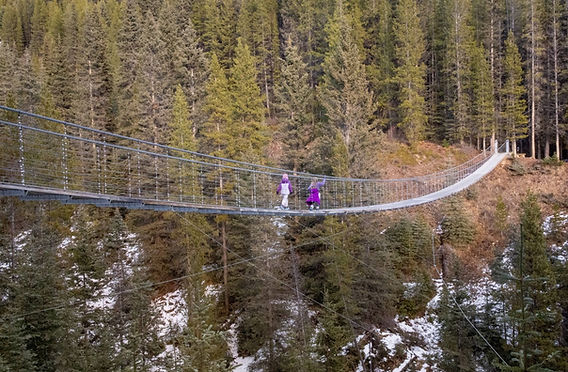 The Blackshale Suspension Bridge Hike (via Black Prince) in